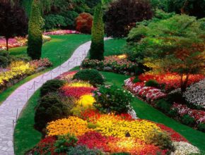 Цветовая гамма вашего сада