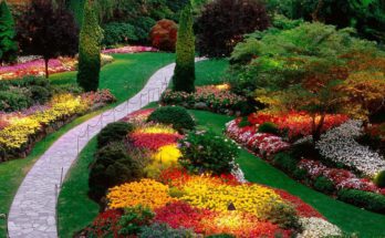 Цветовая гамма вашего сада
